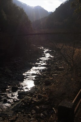 本谷川の川面に太陽が反射してキ...